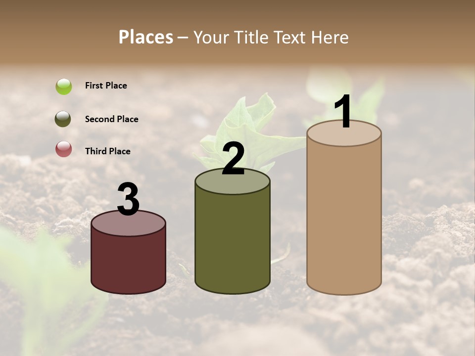 A New Live Is Coming PowerPoint Template