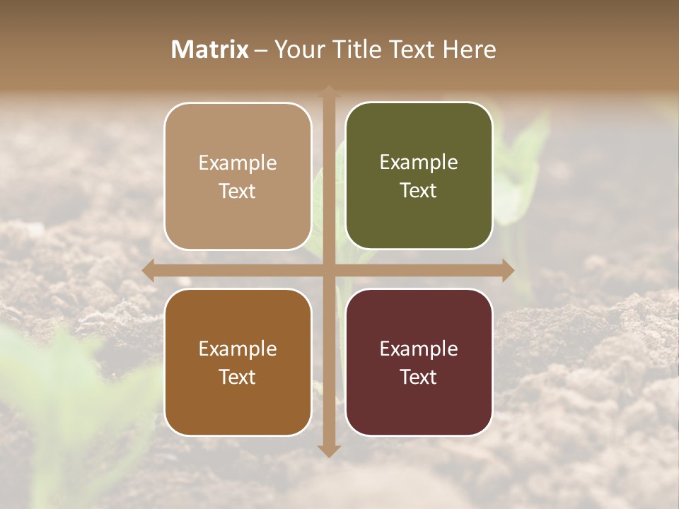 A New Live Is Coming PowerPoint Template