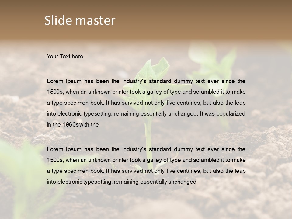 A New Live Is Coming PowerPoint Template