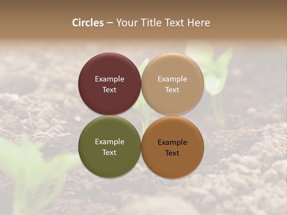 A New Live Is Coming PowerPoint Template