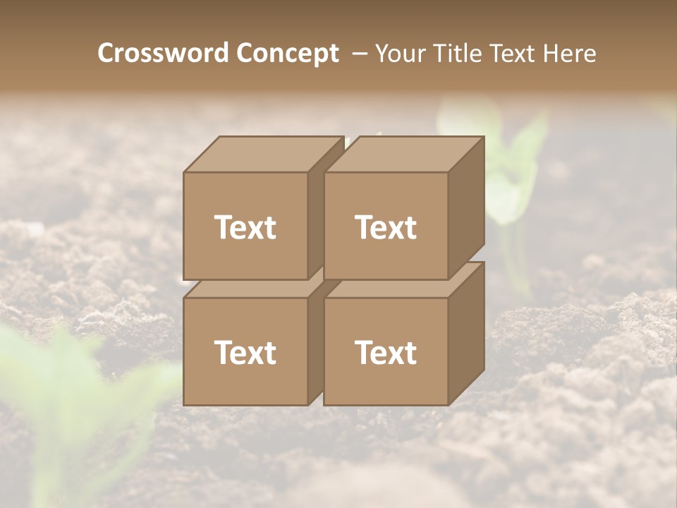 A New Live Is Coming PowerPoint Template