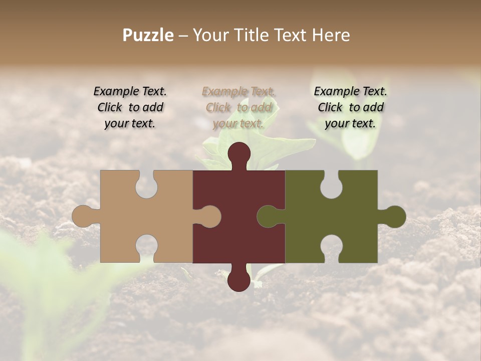 A New Live Is Coming PowerPoint Template