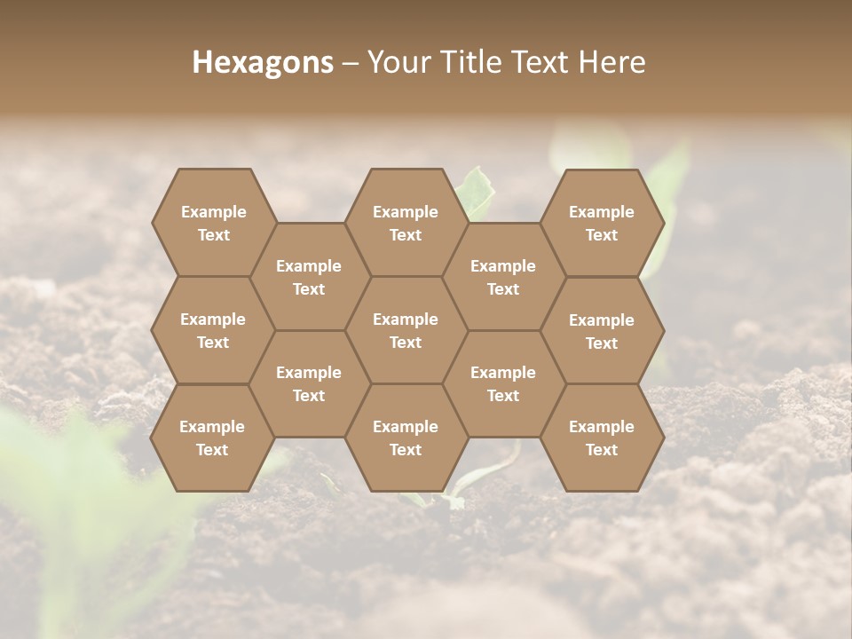 A New Live Is Coming PowerPoint Template