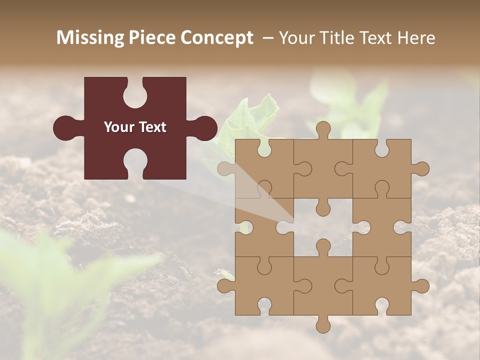 A New Live Is Coming PowerPoint Template