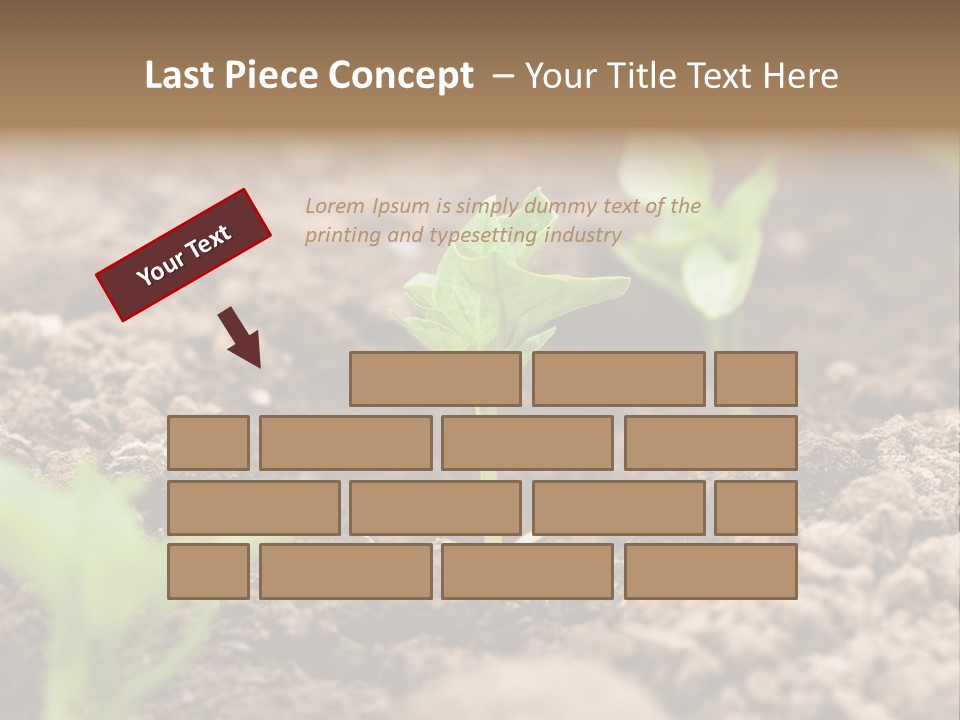 A New Live Is Coming PowerPoint Template