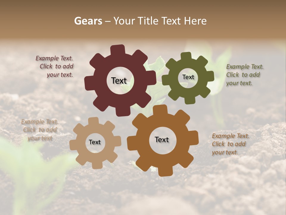 A New Live Is Coming PowerPoint Template