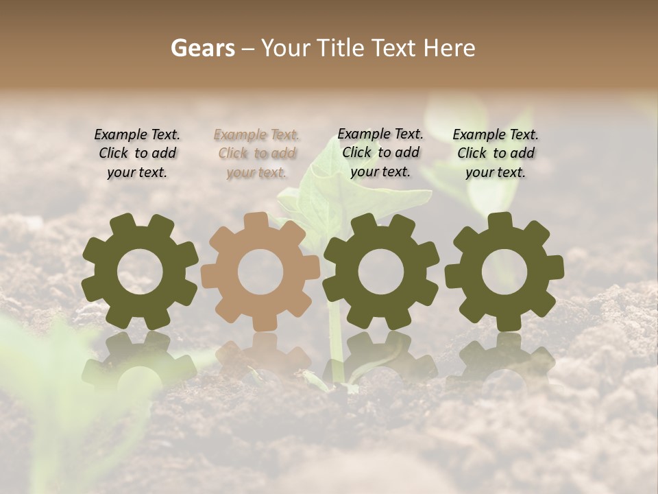 A New Live Is Coming PowerPoint Template