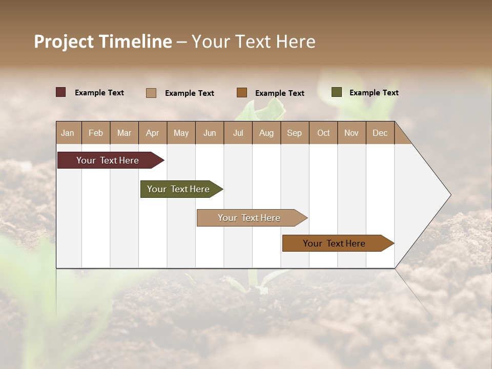 A New Live Is Coming PowerPoint Template
