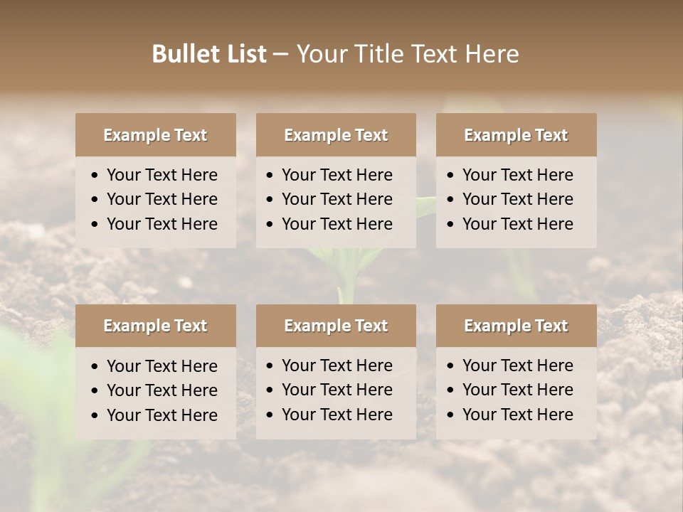A New Live Is Coming PowerPoint Template