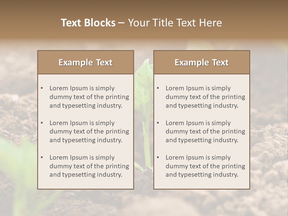 A New Live Is Coming PowerPoint Template