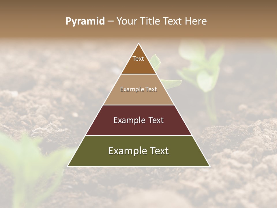 A New Live Is Coming PowerPoint Template