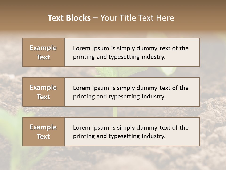 A New Live Is Coming PowerPoint Template