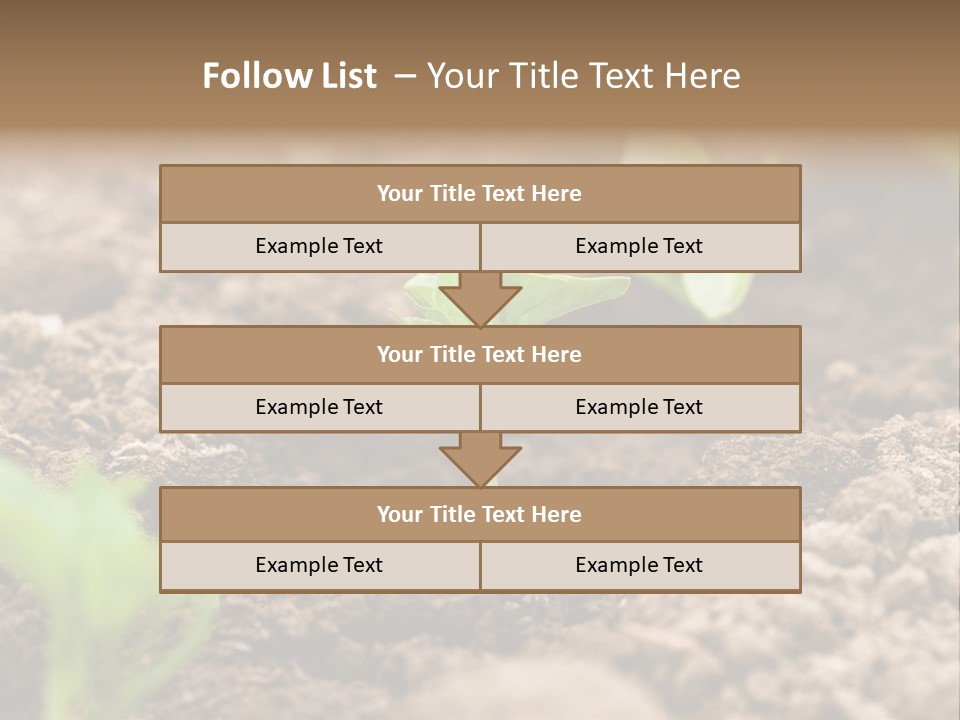 A New Live Is Coming PowerPoint Template
