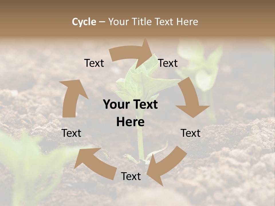 A New Live Is Coming PowerPoint Template
