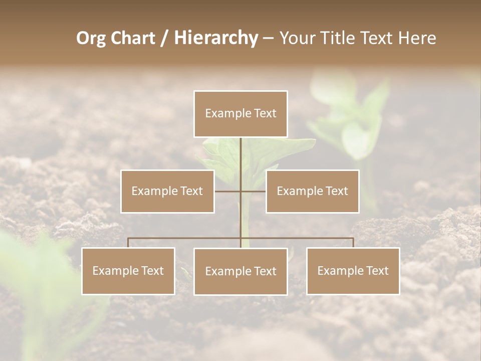 A New Live Is Coming PowerPoint Template