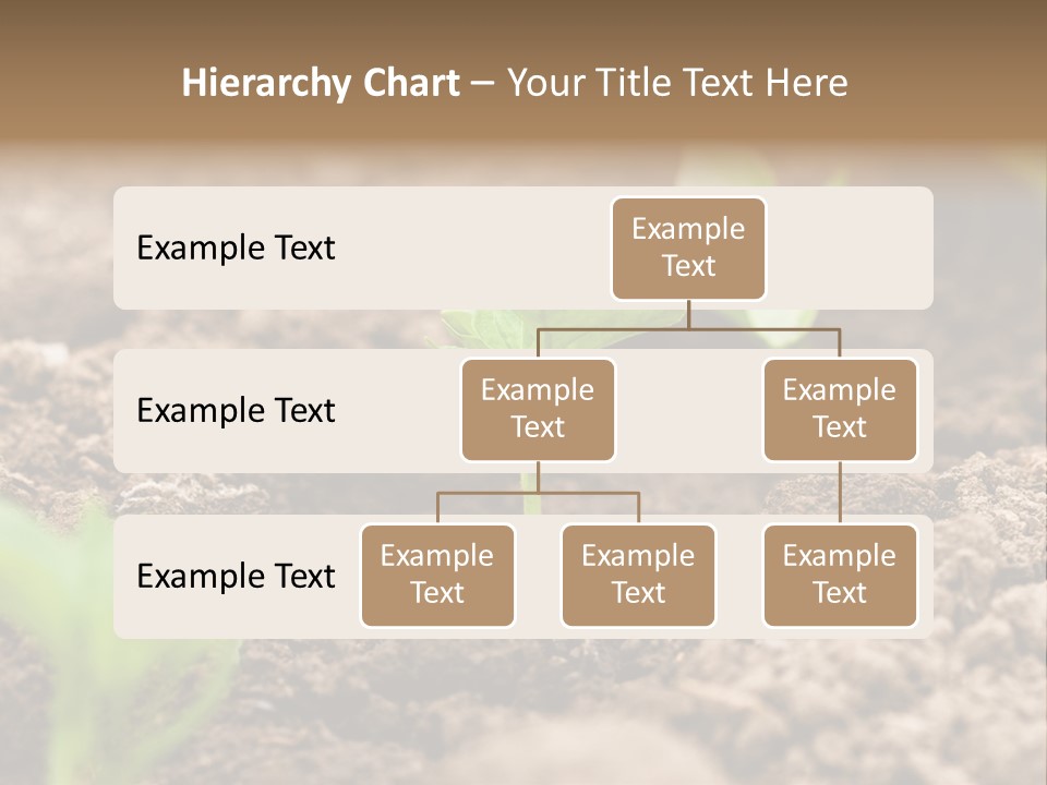 A New Live Is Coming PowerPoint Template