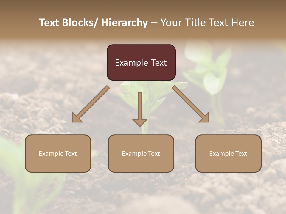 A New Live Is Coming PowerPoint Template