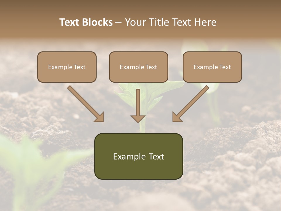 A New Live Is Coming PowerPoint Template