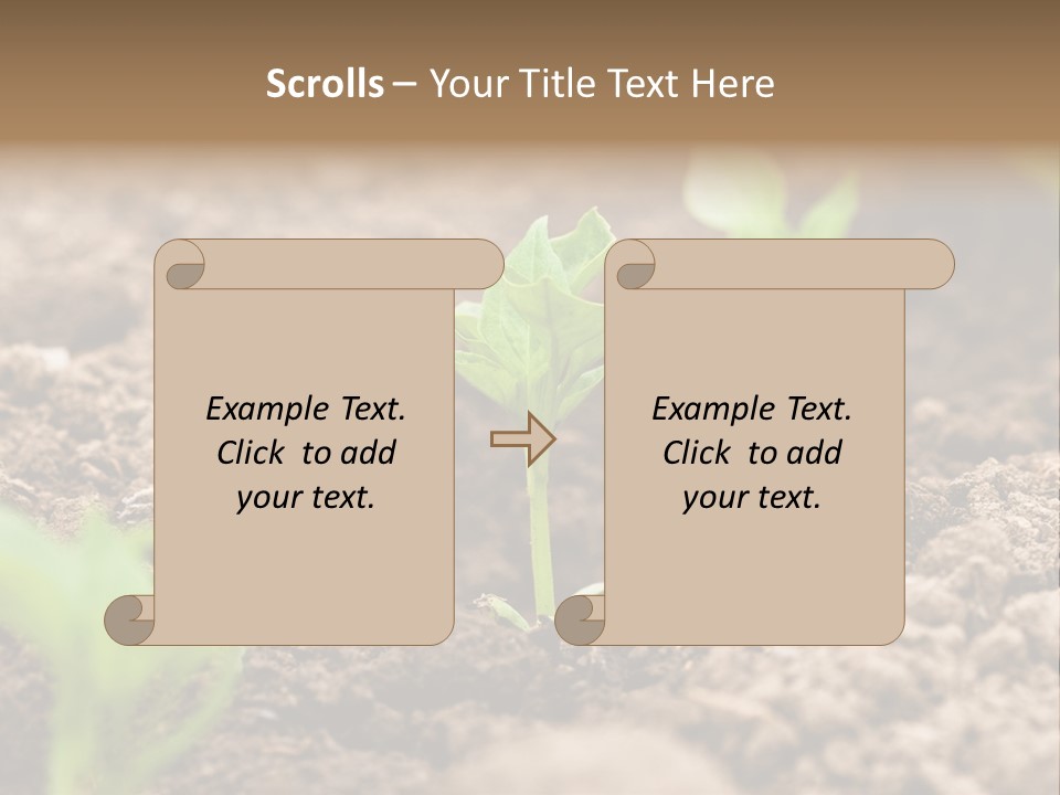 A New Live Is Coming PowerPoint Template