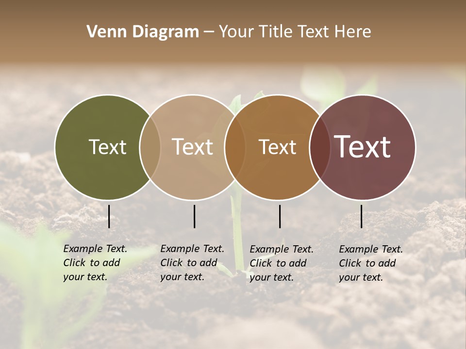 A New Live Is Coming PowerPoint Template