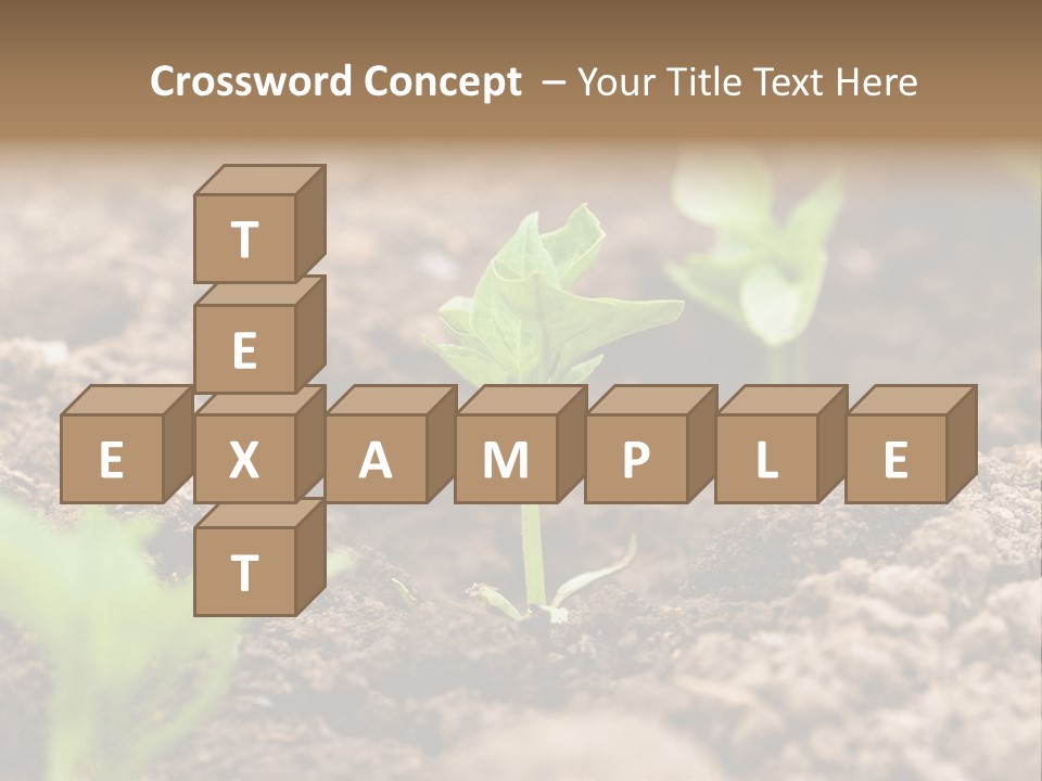 A New Live Is Coming PowerPoint Template