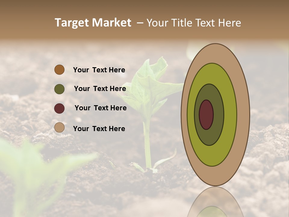 A New Live Is Coming PowerPoint Template