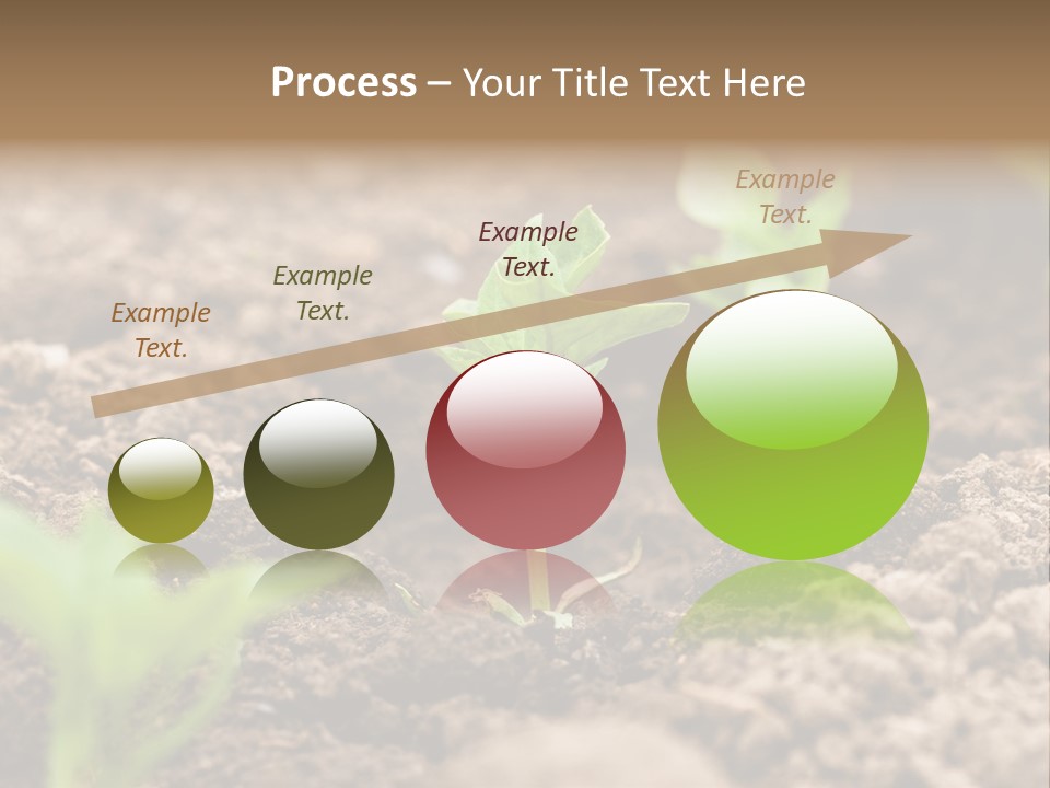 A New Live Is Coming PowerPoint Template