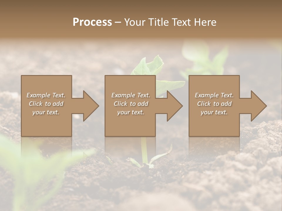 A New Live Is Coming PowerPoint Template