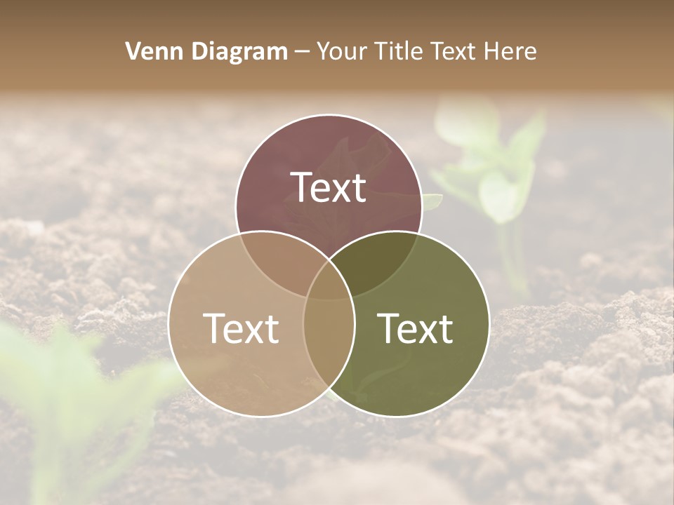 A New Live Is Coming PowerPoint Template