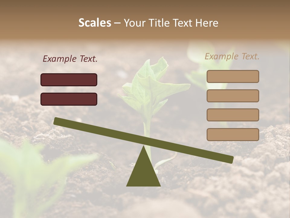 A New Live Is Coming PowerPoint Template