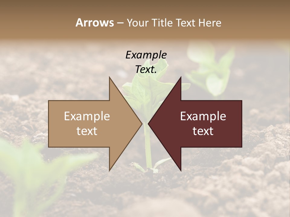 A New Live Is Coming PowerPoint Template