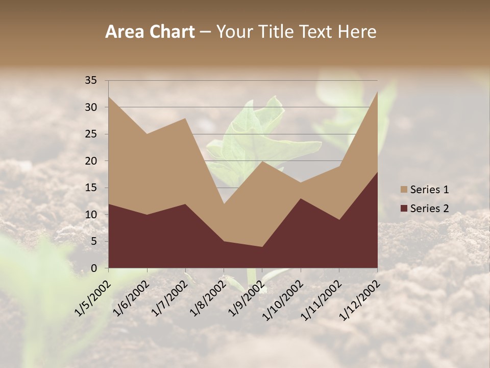 A New Live Is Coming PowerPoint Template