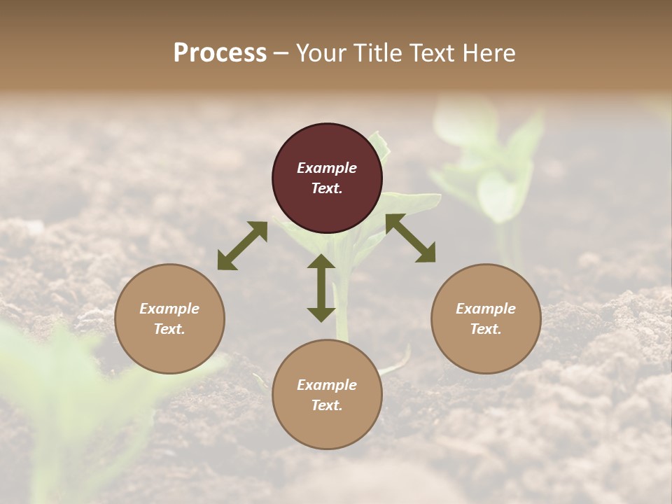 A New Live Is Coming PowerPoint Template