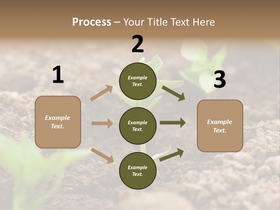 A New Live Is Coming PowerPoint Template