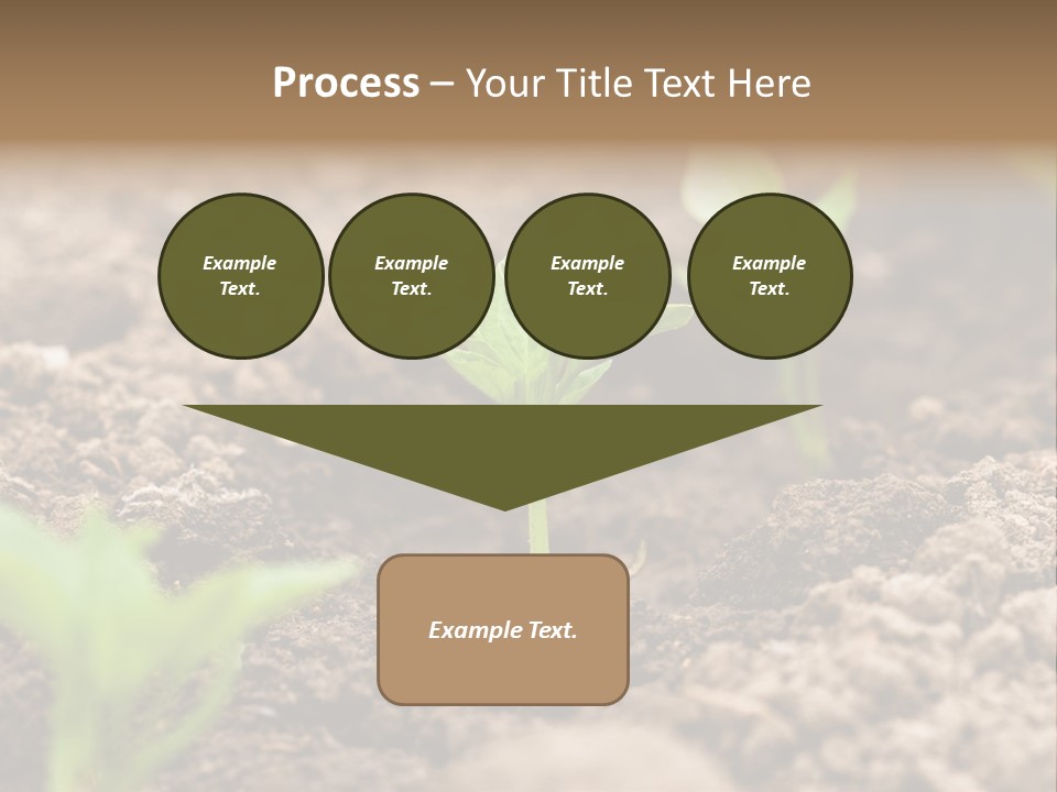 A New Live Is Coming PowerPoint Template