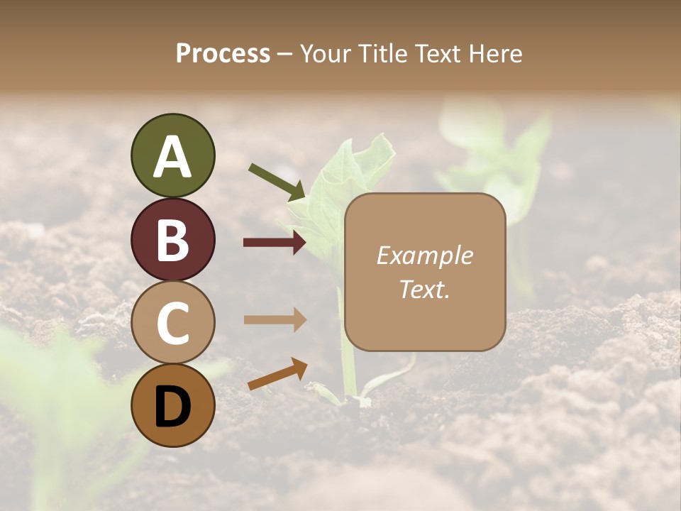 A New Live Is Coming PowerPoint Template