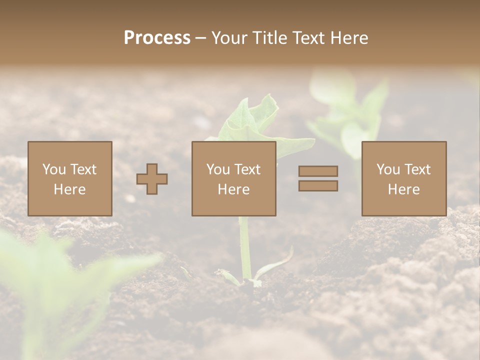 A New Live Is Coming PowerPoint Template