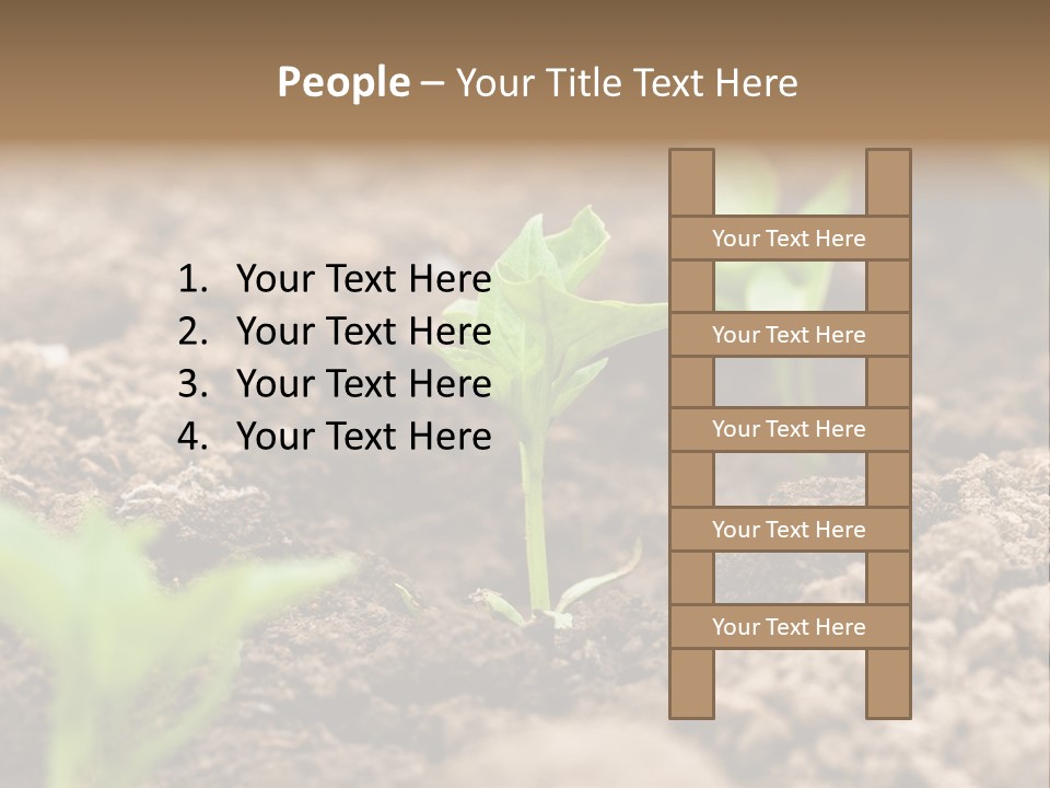 A New Live Is Coming PowerPoint Template