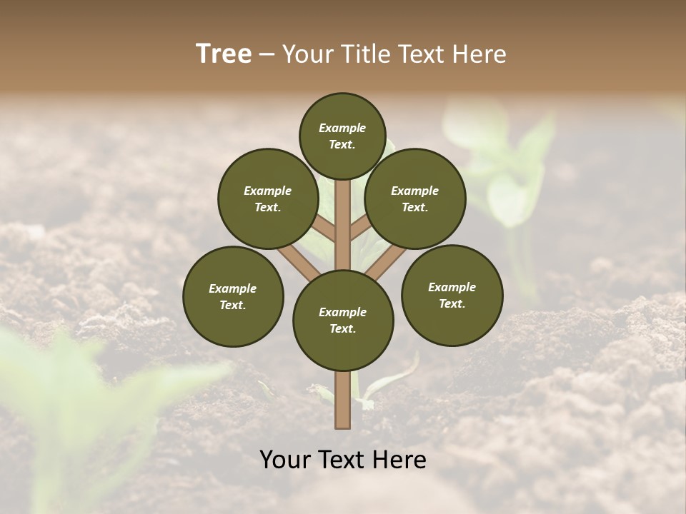 A New Live Is Coming PowerPoint Template