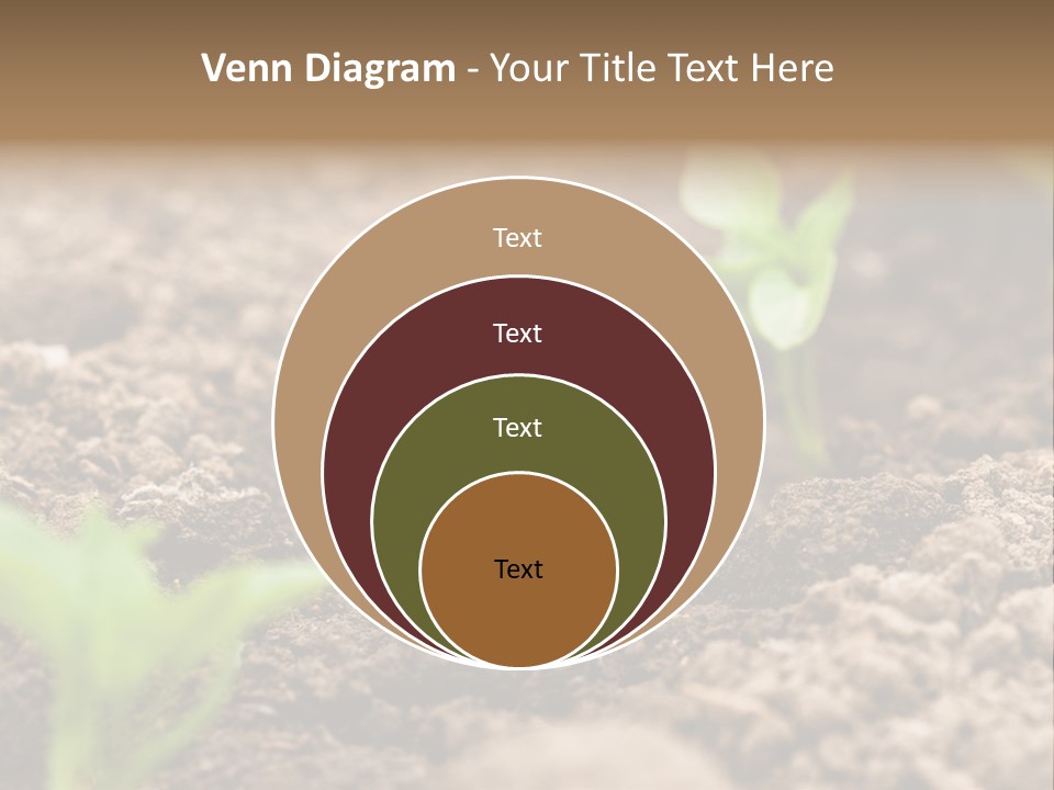 A New Live Is Coming PowerPoint Template