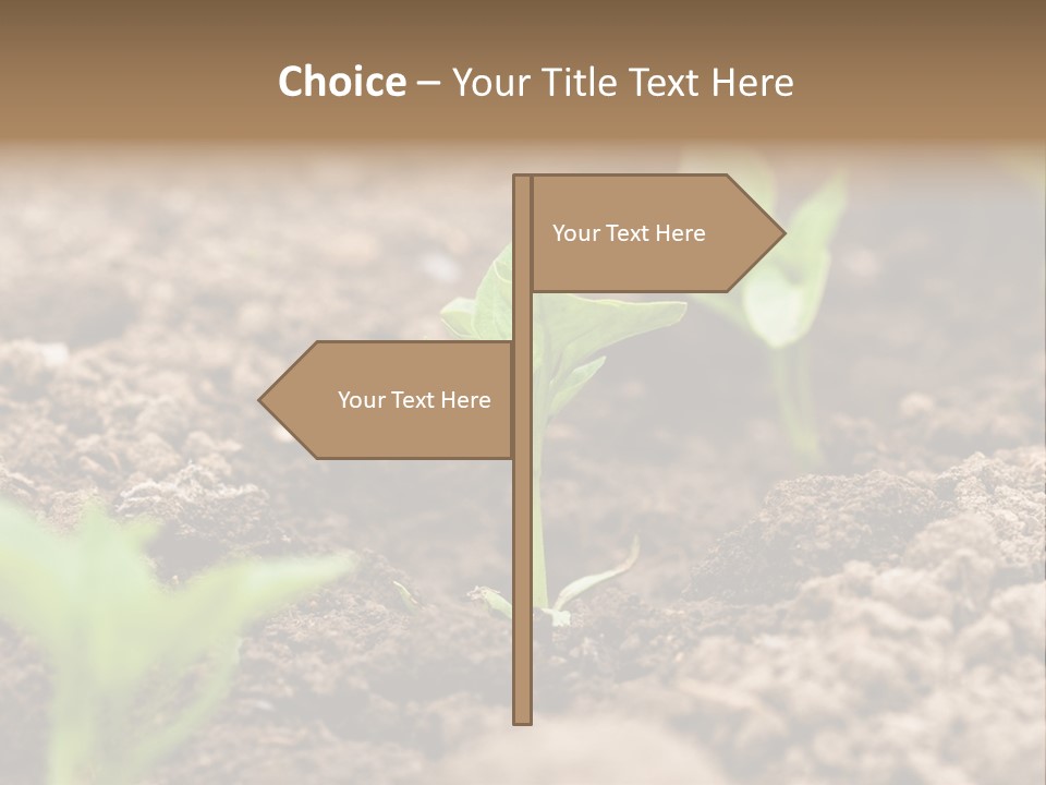 A New Live Is Coming PowerPoint Template