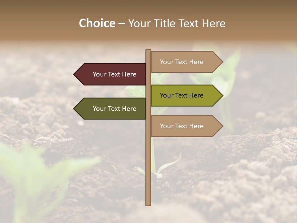 A New Live Is Coming PowerPoint Template