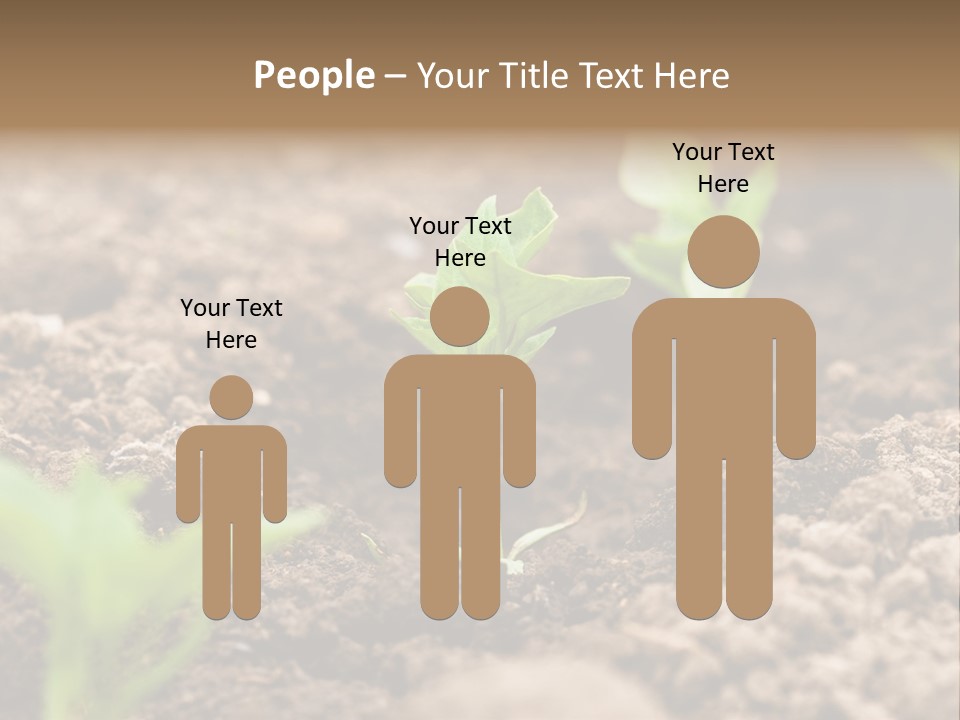 A New Live Is Coming PowerPoint Template