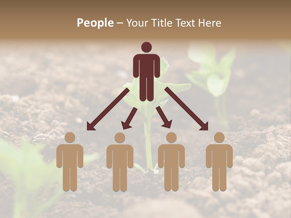 A New Live Is Coming PowerPoint Template