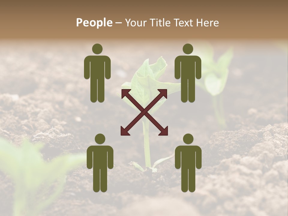 A New Live Is Coming PowerPoint Template