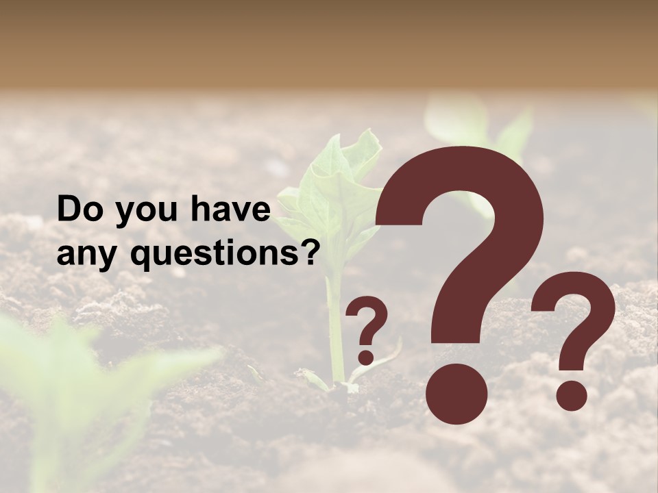 A New Live Is Coming PowerPoint Template