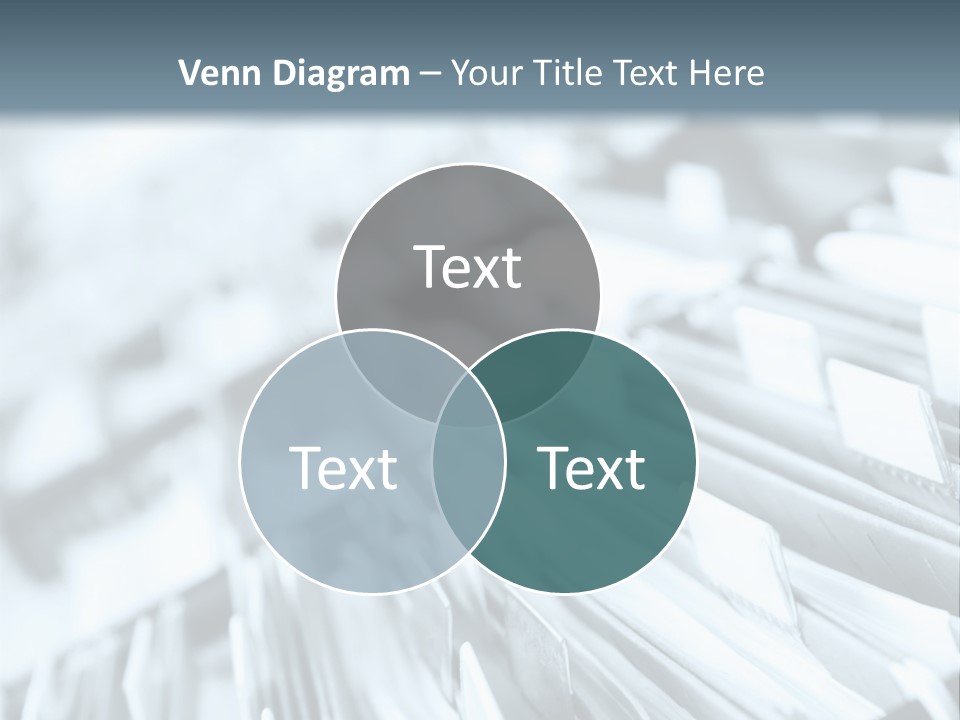 Red Fox (4 Years) - Vulpes Vulpes In Front Of A White Background PowerPoint Template