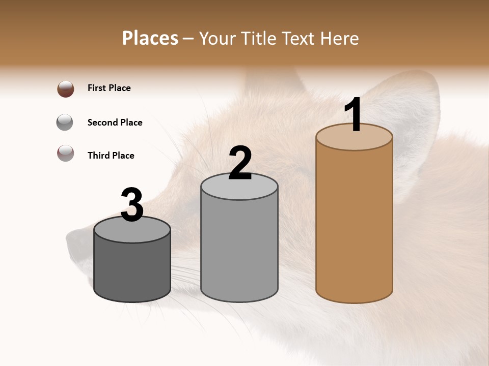 Red Fox (4 Years) - Vulpes Vulpes In Front Of A White Background PowerPoint Template