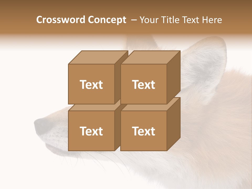 Red Fox (4 Years) - Vulpes Vulpes In Front Of A White Background PowerPoint Template