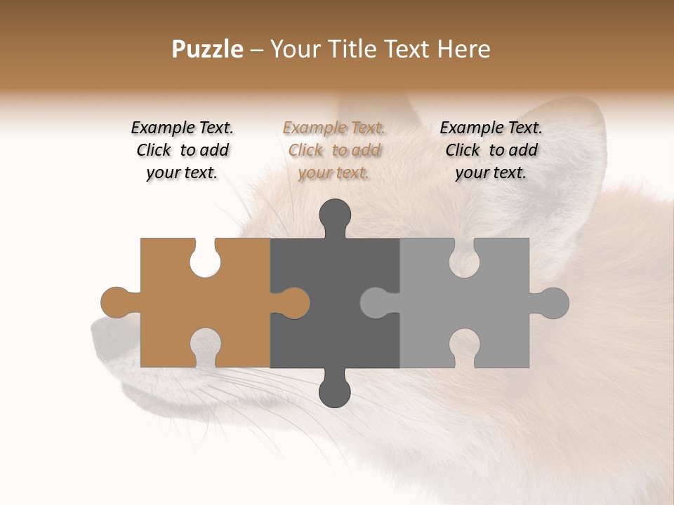 Red Fox (4 Years) - Vulpes Vulpes In Front Of A White Background PowerPoint Template